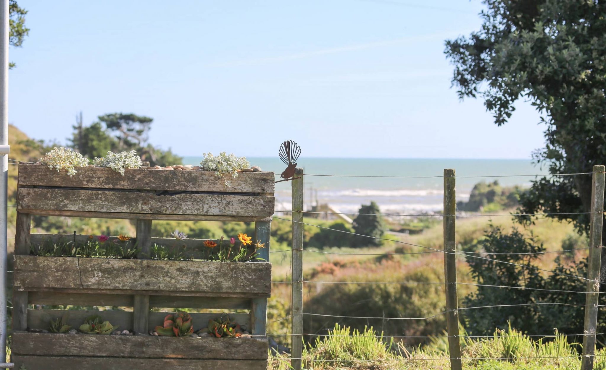 Seaview powered sites at Kai Iwi Beach Holiday Park